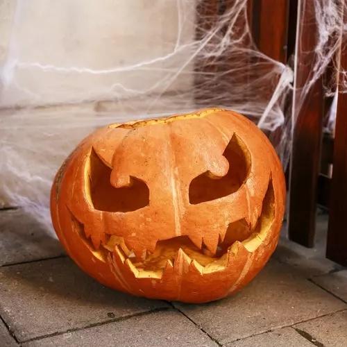 Realistiskt halloween spindelnät dekorationsset med 2 spindlar, töjbara spindelnät för upp till 2,5 kvm täckning