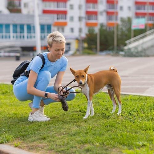 Purlov 1000 hundbajspåsar + fodral – luktsäkra, läckagesäkra och hållbara svarta avfallspåsar för ett års leverans