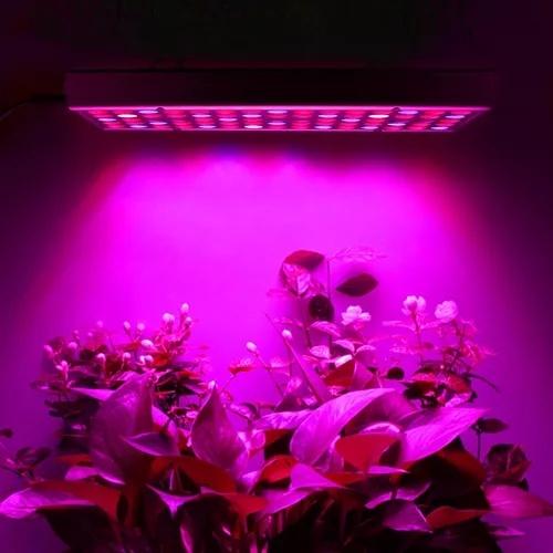 5 led plant växa ljus panel – inomhus trädgård boost