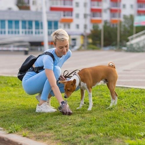 Purlov Absorberande hygienskydd för hund och katt, 60x90cm, 100ct med hundbajspåsar