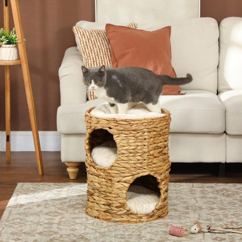 Mysig Cat Scratching Barrel med grottor, kudde och vattenhyacintdesign