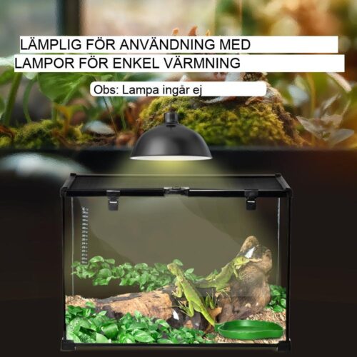 Reptilterrarium i glas med foderlåda och termometer – 50x30x35cm