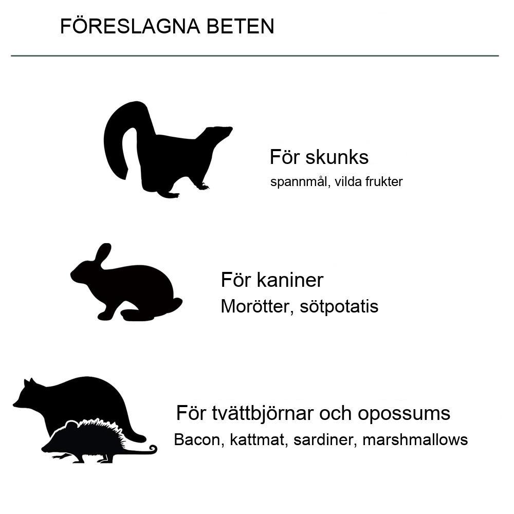 Metall levande fälla, dubbeldörr, 100x25cm, katt- och kaninfångare