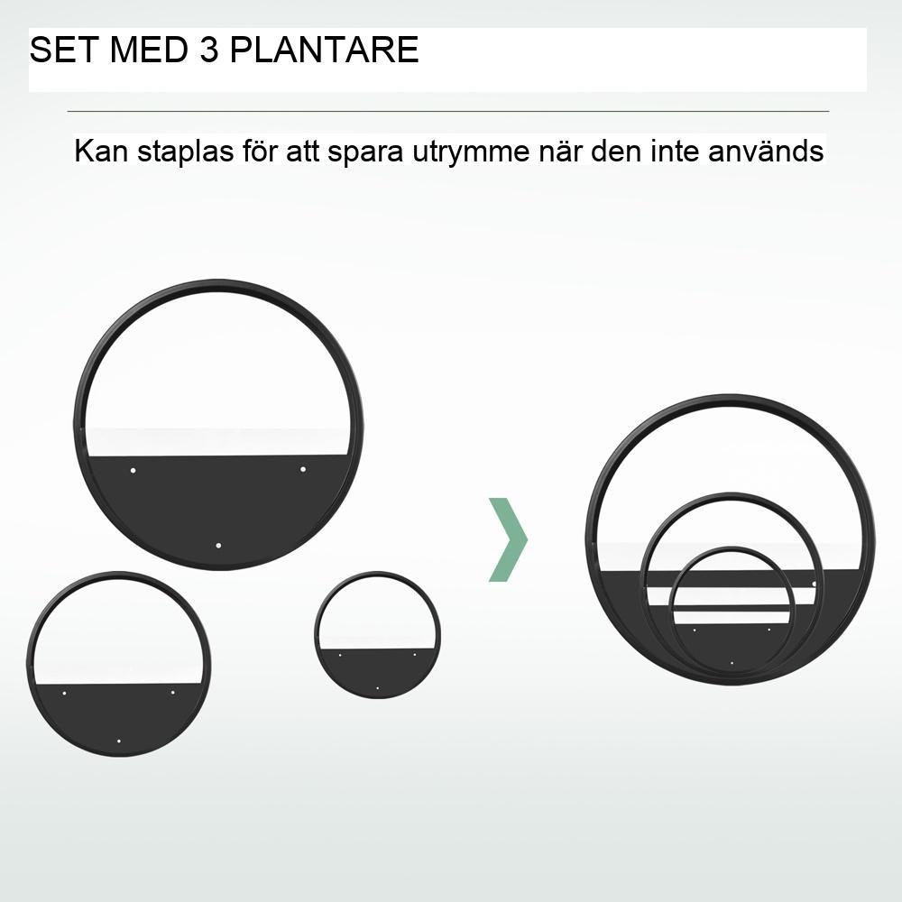 3-delad svart väggplanteringsset i stål för suckulenter och kaktusar