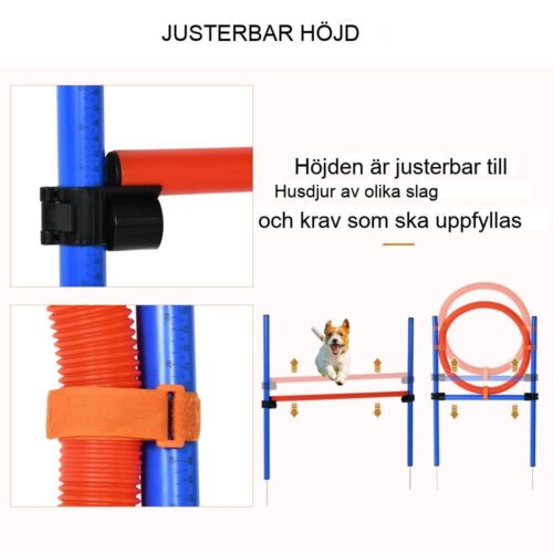 Dog Agility Training Set – Hinderbana, Slalom och Hoop Hoop