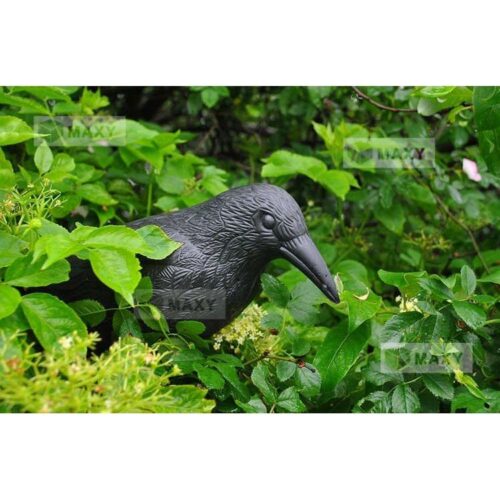 Realistic Raven Bird Repellent – Outdoor Garden Decor 38cm