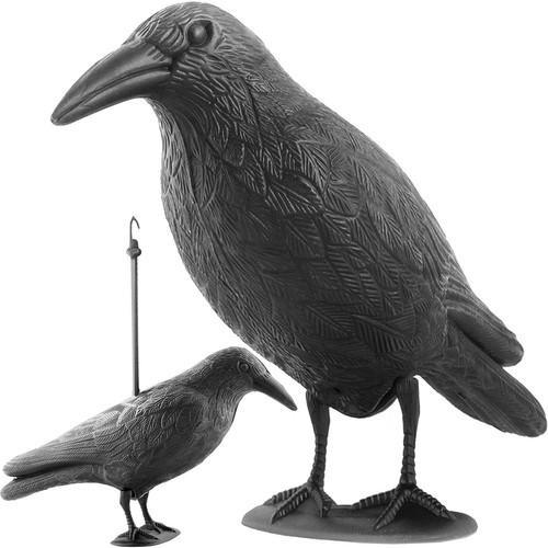 Realistic Raven Bird Repellent – Outdoor Garden Decor 38cm