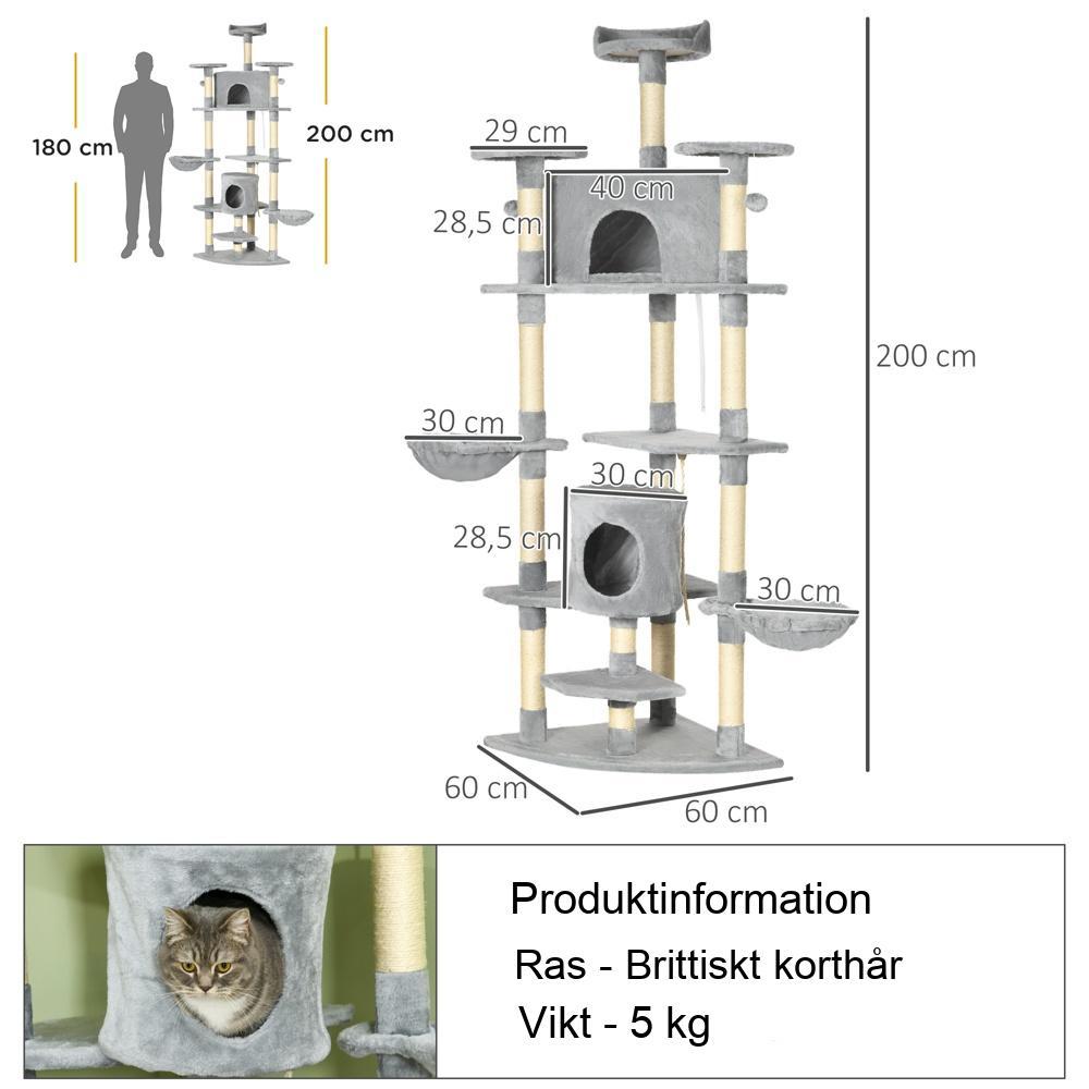 XXL kattträd med grottor, hängmattor och skrapstolpar – stora kattmöbler