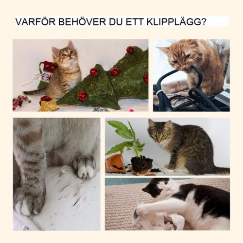 Kattträd med justerbar höjd med sisalskrapstolpar – brun