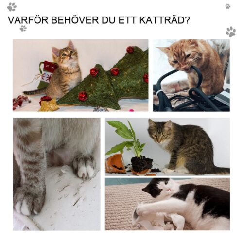 Svart plysch kattskrapstolpe med bollar och grotta – liten katt