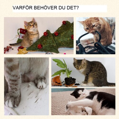 Kattträd med 2 grottor, skrapstolpar och lekboll, ek+vit