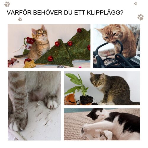 Mjuk plysch kattgrotta med skrapbräda, grå, för små katter