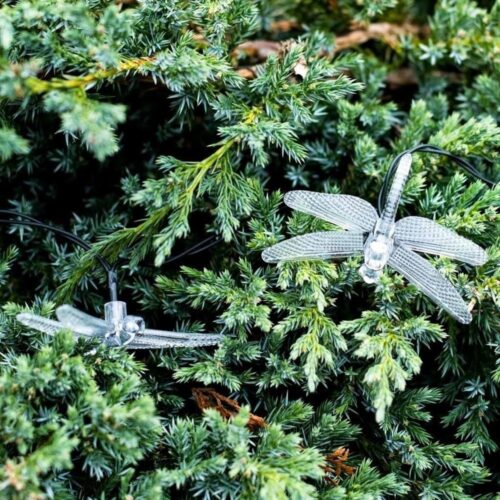 Solar Dragonfly Garden Lights, 30 LED varmvita, 6,5 m snöre för uteplatsdekoration