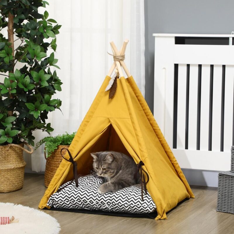 Mysig tipi-katt och liten hundsäng med kudde, lekboll, furu, gul