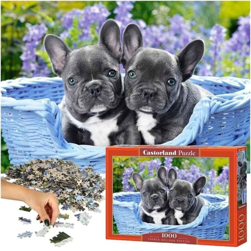 1000 bitar fransk bulldogg valp pussel – Castorland Family Fun