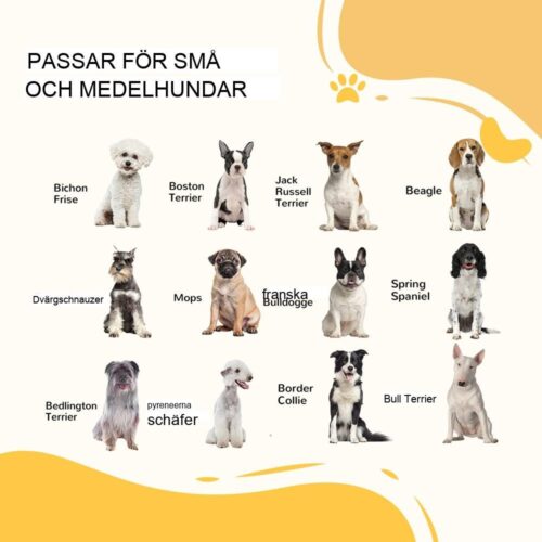 Automatisk stängning av hundskydd, 75-82cm, svart träfinish