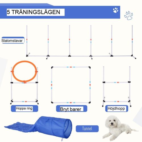 Dog Agility Set med tunnel och väska: Träningssats för aktiva hundar