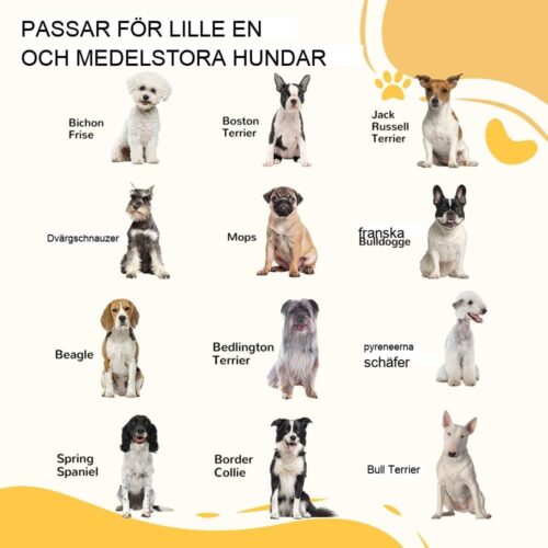 Fristående hundport i trä, justerbar och vikbar, mörkbrun säkerhetsbarriär