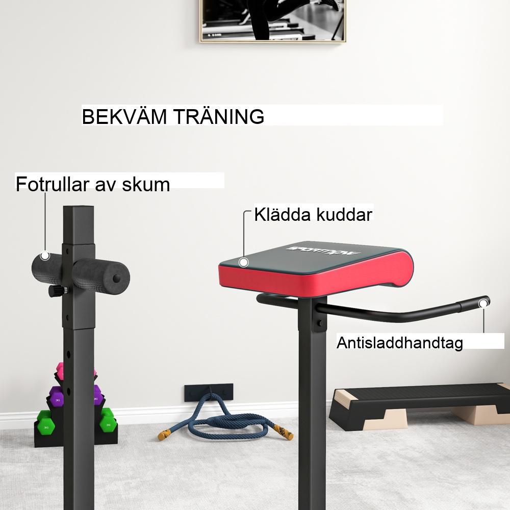 6-vägs justerbar Back Trainer Hyperextension bänk för hemmaträning