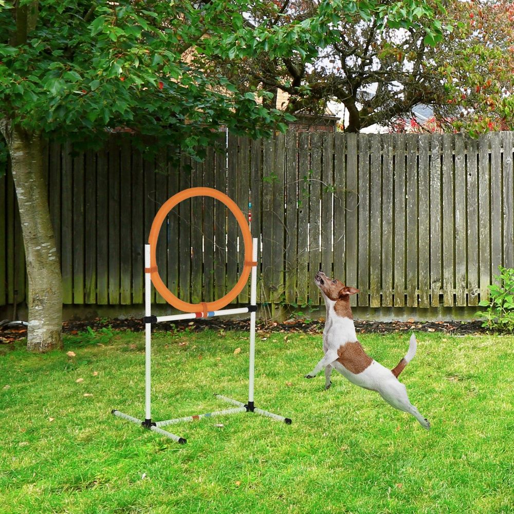 Justerbar hund Agility Training Ring Häck Set – Portabel Vit Orange