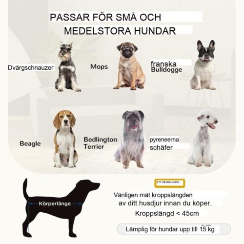 Snygg grå upphöjd bäddsoffa för hund, tvättbart överdrag och träben – medelstora små hundar