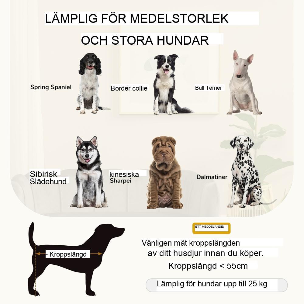 Lyxig bäddsoffa för hund – plysch, upphöjd design med träben (mörkgrå)