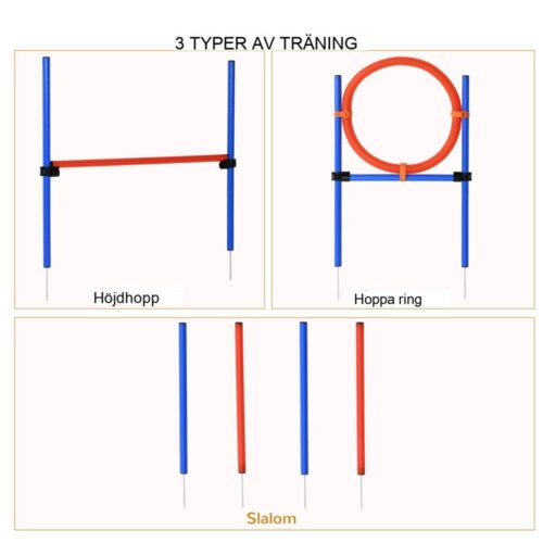 Dog Agility Training Set – Hinderbana, Slalom och Hoop Hoop