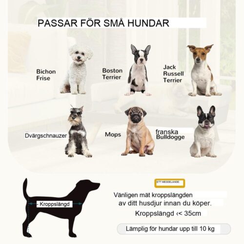 Modern holländsk sammetssoffa för hund – små hundar, katter, björkben, ljusgrå