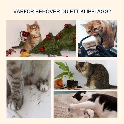 Högt i tak justerbart kattträd med sisal-krapstolpar – grå