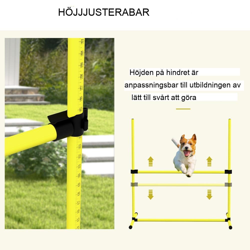 Agility häckhundträningsset – 4 häck-, slalom- och markstavar för aktiva hundar