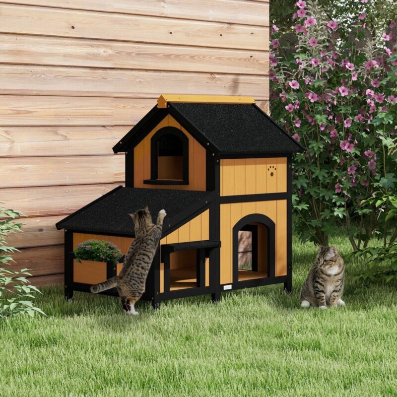 Yellow Fir Wood Cat House med flera ingångar, 2 våningar och tak