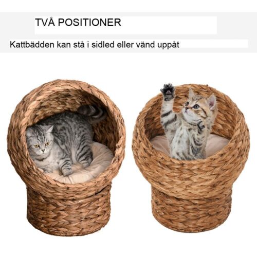 Rottingkattsäng med kudde – mysigt tillflyktsort för katter