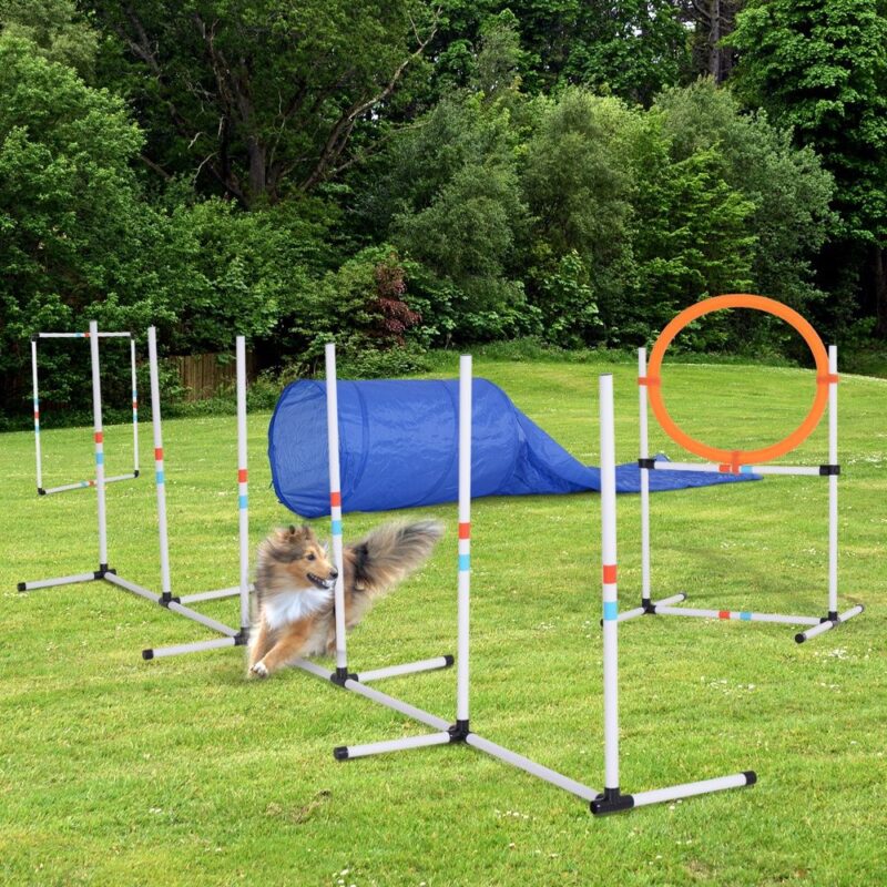 Dog Agility Set med tunnel och väska: Träningssats för aktiva hundar