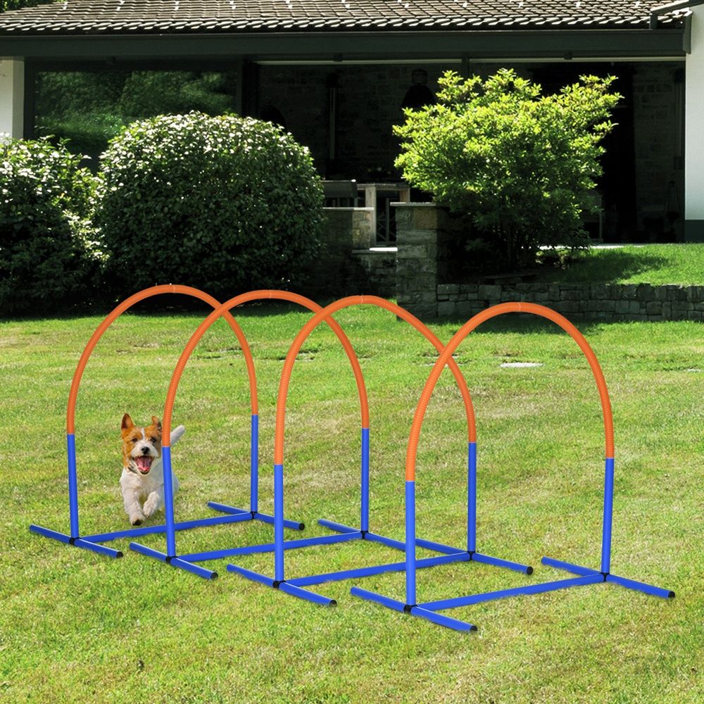 Hund Agility Training Set – 4 bågar, blå och orange