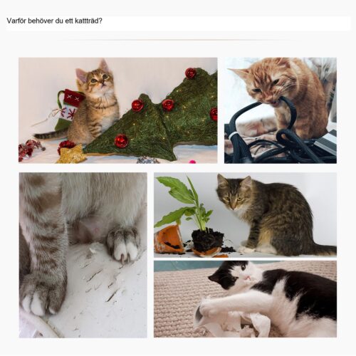 Slitstarkt klösträd i sisal och plysch för små katter med integrerad korg, kompakt design