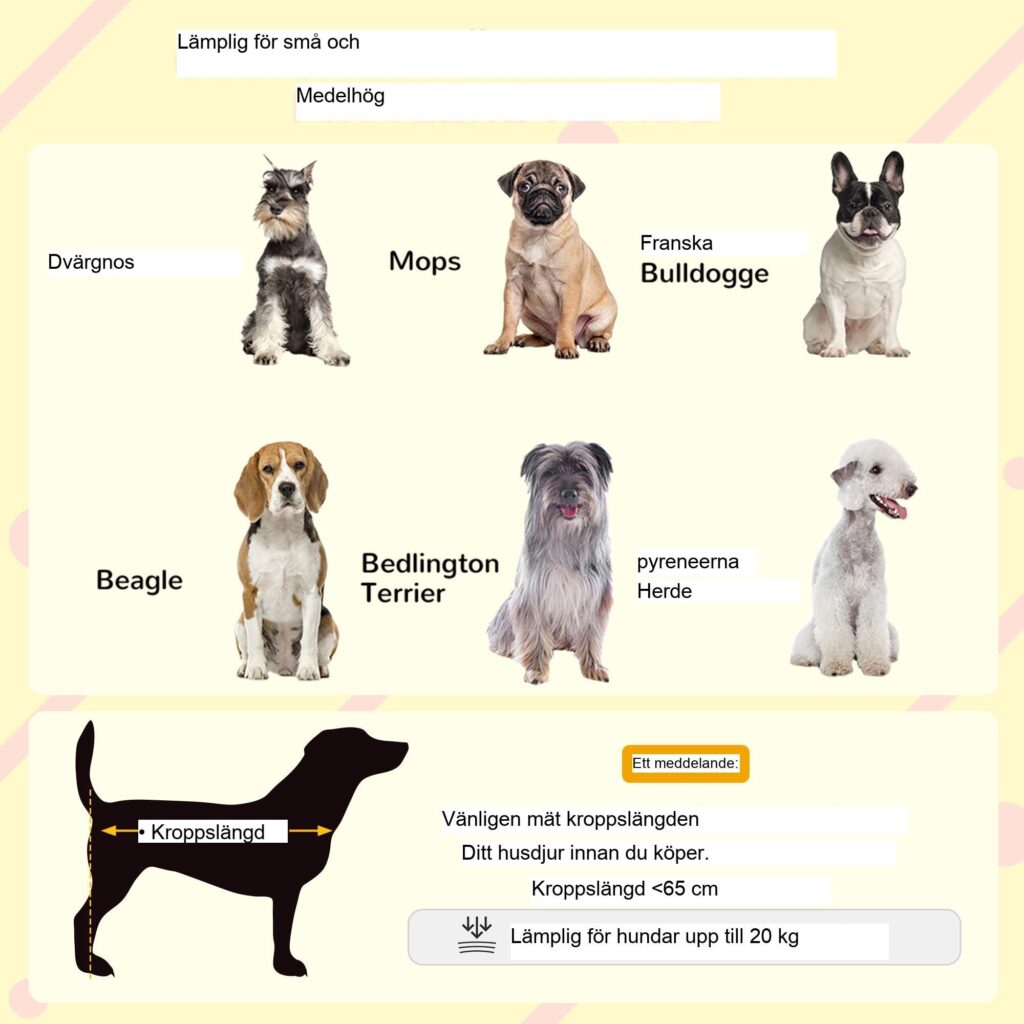 Uppvuxen hundkoja med takterrass och trappor - Granträkonstruktion för medelstora och stora hundar