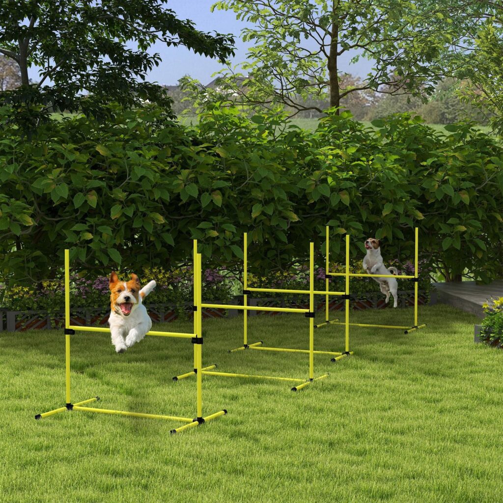 Agility Hinder Training Set for Dogs - Justerbar och bärbar med bärväska för effektiv hundträning