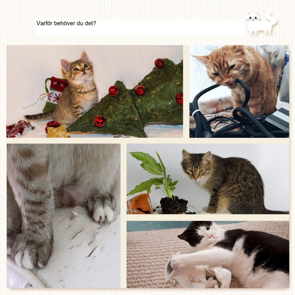 Platsbesparande klätterväggset för katt med klösstolpe och hängmatta - 4-delat klätter- och lekset för stadslägenheter
