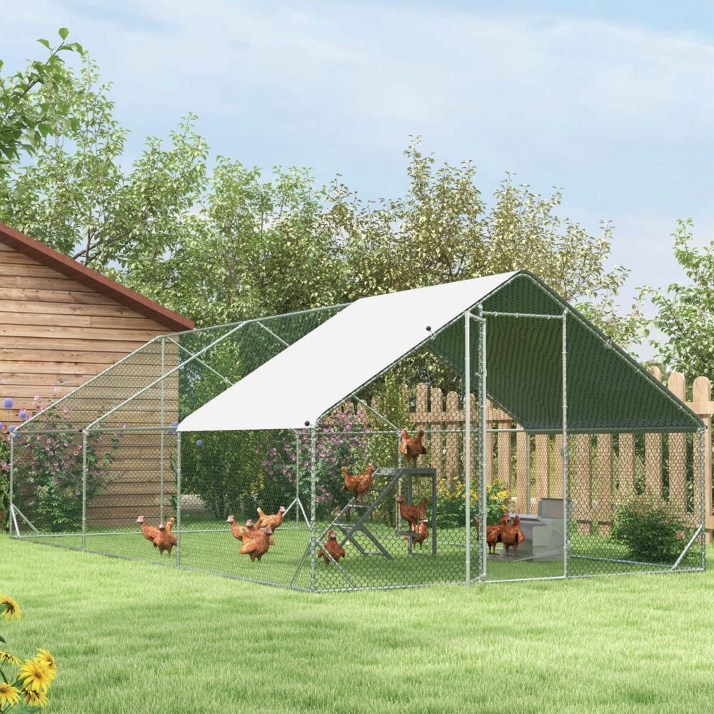 Hönshus med frigående höns | 3x6x2m, rymmer 12-18 fåglar, väderbeständig och säker