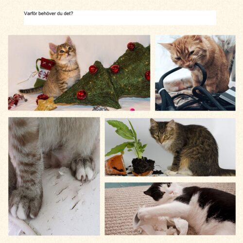Premium Cat Scratching Post med 2 tvättbara sängar och Play Ball – Flera plattformar för tupplur, sisal kolumner för kloomsorg