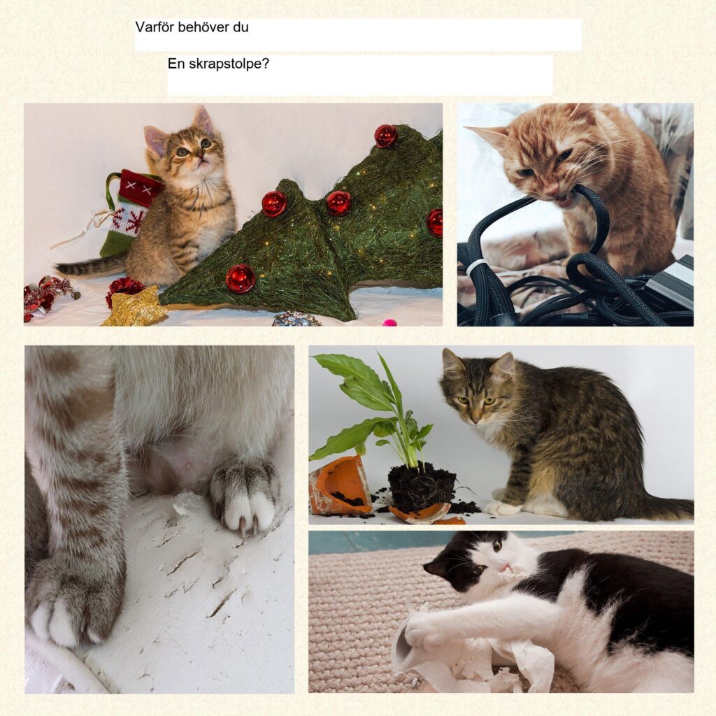 Allt-i-ett klösstolpe för katt med 3 nivåer, sisal- och rottingmaterial, bollleksak, mjuk plyschgrotta för vila och lek | Skyddar möbler, slitstark MDF-konstruktion, brun och beige