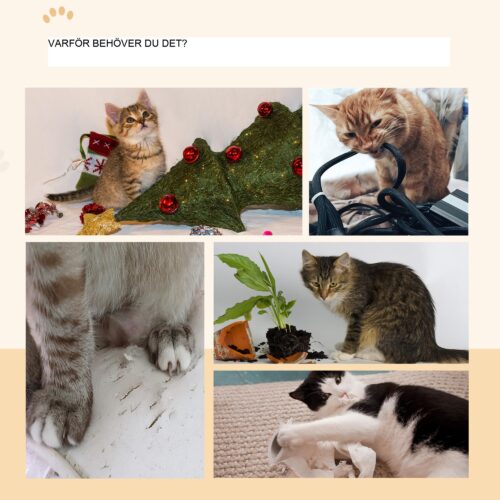 Klösbräda för katt | 8-delat miljövänligt set med mångsidig bekvämlighet för katter upp till 5 kg | Kompatibel med Cat-fälgar